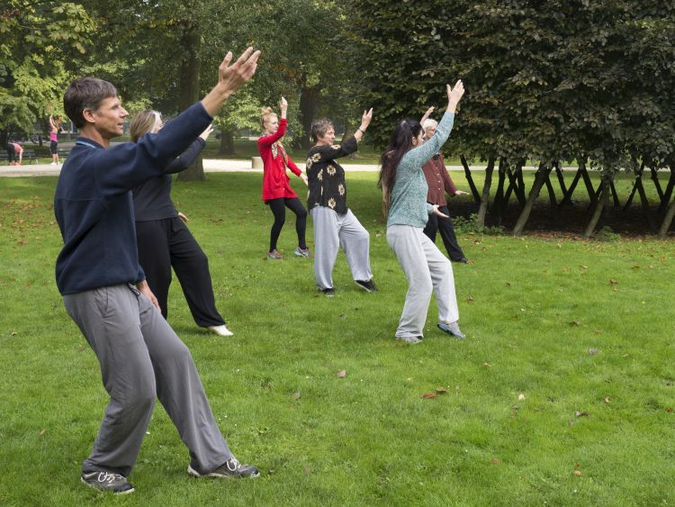 Tai chi chuan les